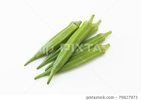 Okra White Back Okra White Back 79827973