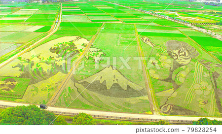 2021 Rice field art in Gyoda 79828254