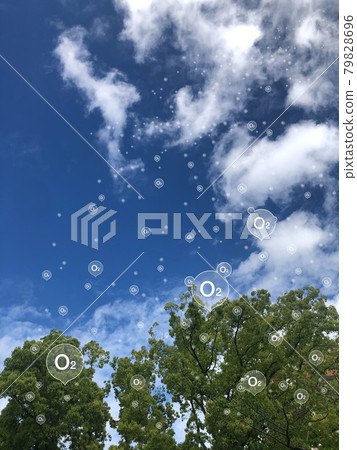 Ecology / plant respiration 79828696