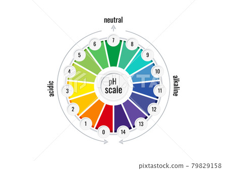 pH value scale chart meter for acid and alkaline solutions isolated on white background. pH value scale chart meter for acid and alkaline solutions isolated on white background. 79829158