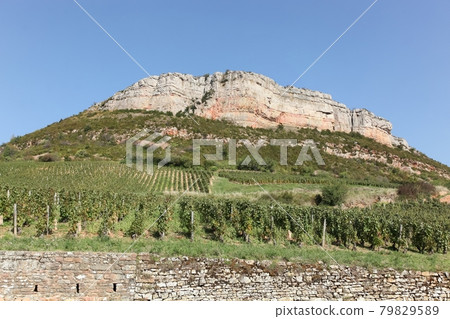 Rock of Vergisson in Burgundy, France Rock of Vergisson in Burgundy, France 79829589