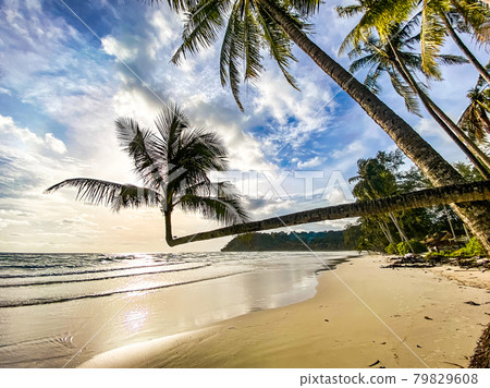 Klong Chao beach and its Double Palm Trees in koh Kood, Trat, Thailand Klong Chao beach and its Double Palm Trees in koh Kood, Trat, Thailand 79829608