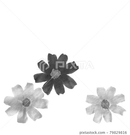 花圖（宇宙） 79829816