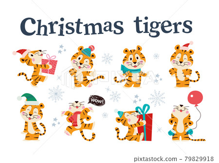 Set of cute little tigers with gift boxes, balloon in winter hat, scarf and gloves isolated. Set of cute little tigers with gift boxes, balloon in winter hat, scarf and gloves isolated. 79829918