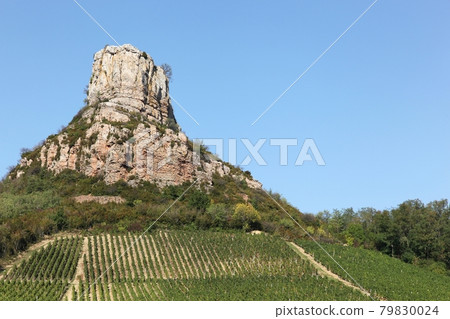 Rock of Solutre with vineyards, Burgundy, France Rock of Solutre with vineyards, Burgundy, France 79830024