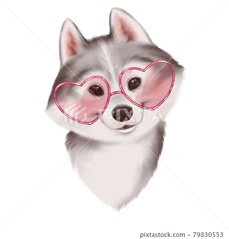 Malamute puppy head portrait. Cute dog in sunglasses. 79830553