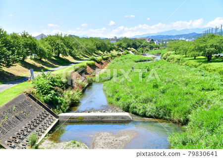 Looking upstream from Toyokoyamabashi / Minamiasakawa (Hachioji, Tokyo) [2021.7] 79830641