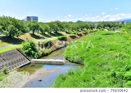 從東橫山橋/南淺川（東京八王子）向上游看 [2021.7] 79830642