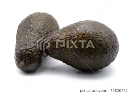 Avocado Avocado 79830731