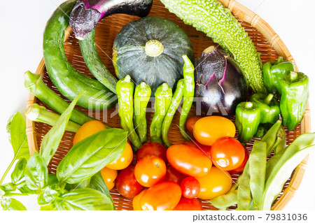 在菜園收穫。新鮮採摘的秋葵、苦瓜、茄子、黃瓜、辣椒、秋葵、南瓜、番茄 在菜園收穫。新鮮採摘的秋葵、苦瓜、茄子、黃瓜、辣椒、秋葵、南瓜、番茄 79831036