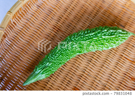 Harvesting in the vegetable garden. Freshly picked bitter gourd 79831048