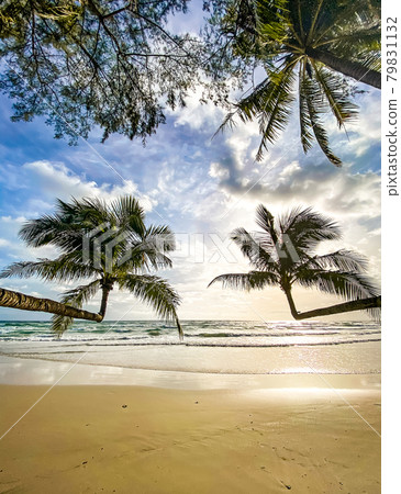 Klong Chao beach and its Double Palm Trees in koh Kood, Trat, Thailand Klong Chao beach and its Double Palm Trees in koh Kood, Trat, Thailand 79831132