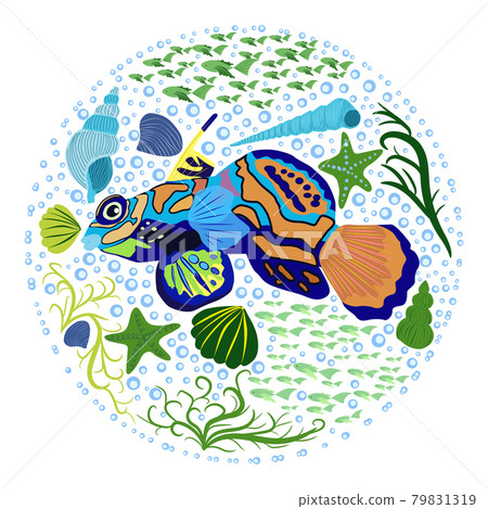 Mandarin fish beautiful character among seashells, seaweed, starfish, Scandinavian style, hand drawn 79831319