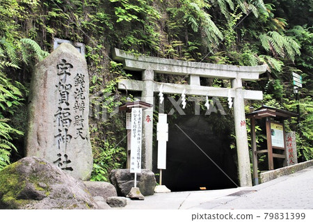 鎌倉錢本扎滕 79831399