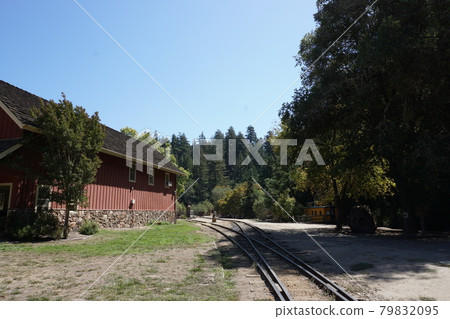 美國州立公園 (Henry Cowell Redwoods) 的景色 美國州立公園 (Henry Cowell Redwoods) 的景色 79832095