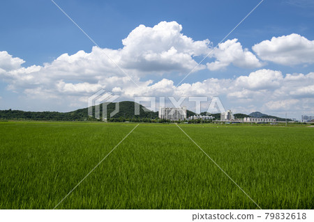 Hojobeol, Siheung-si, Gyeonggi-do Hojobeol, Siheung-si, Gyeonggi-do 79832618