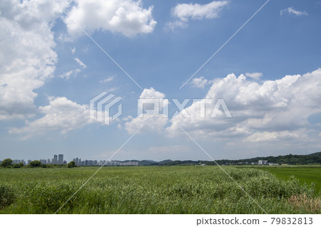 Hojobeol, Siheung-si, Gyeonggi-do Hojobeol, Siheung-si, Gyeonggi-do 79832813