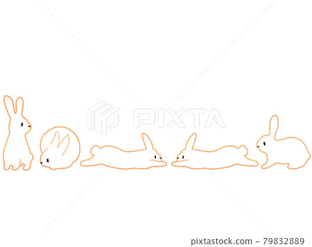 兔子可愛的姿勢集合 79832889