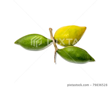 Fresh Tropical almond fruit on white background. 79836528