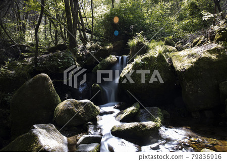 寧越上洞的苔蘚谷,岩石上長滿了綠色的苔蘚 寧越上洞的苔蘚谷,岩石上長滿了綠色的苔蘚 79836916