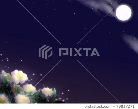 Background illustration of evening primrose 79837271