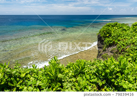 Idyllic cliff view of an emerald green sea at southern Japan. Iriomote Island. Idyllic cliff view of an emerald green sea at southern Japan. Iriomote Island. 79839416