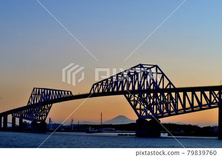 富士山和東京門大橋的夜景 79839760
