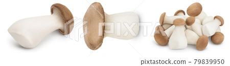 King Oyster mushroom or Eringi isolated on white background . Set or collection King Oyster mushroom or Eringi isolated on white background . Set or collection 79839950