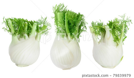 fresh fennel bulb isolated on white background with clipping path and full depth of field. Top view. Flat lay fresh fennel bulb isolated on white background with clipping path and full depth of field. Top view. Flat lay 79839979