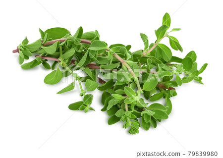 Oregano or marjoram leaves isolated on white background with clipping path and full depth of field Oregano or marjoram leaves isolated on white background with clipping path and full depth of field 79839980