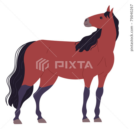Dark brown horse stands with head turned to the side. 79840267