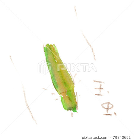 Summer insects: watercolor illustration of jewel beetle (Jewel beetle) Summer insects: watercolor illustration of jewel beetle (Jewel beetle) 79840691