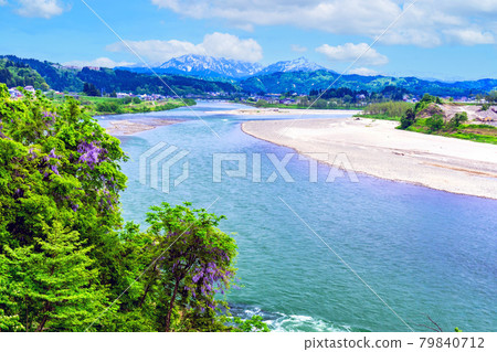 The confluence of Fuji flowers and the river 79840712