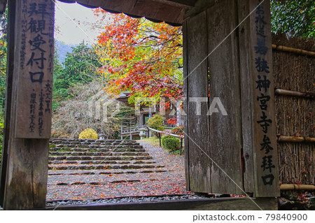 若狹神社寺 若狹神社寺 79840900