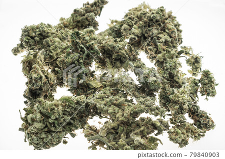 medical marijuana cannabis buds closeup on white studio background medical marijuana cannabis buds closeup on white studio background 79840903