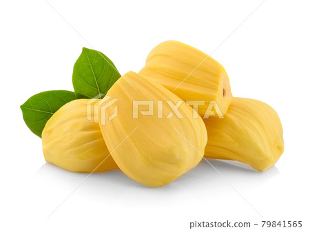 Jackfruit isolated on white background Jackfruit isolated on white background 79841565