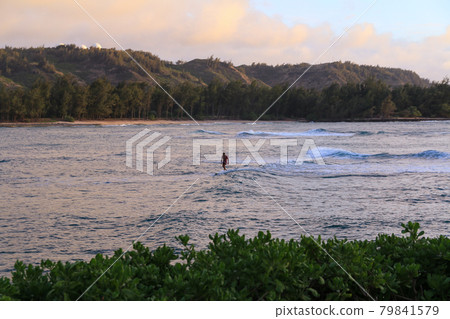 People surfing in the Hawaiian ocean People surfing in the Hawaiian ocean 79841579