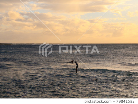 People surfing in the Hawaiian ocean People surfing in the Hawaiian ocean 79841582
