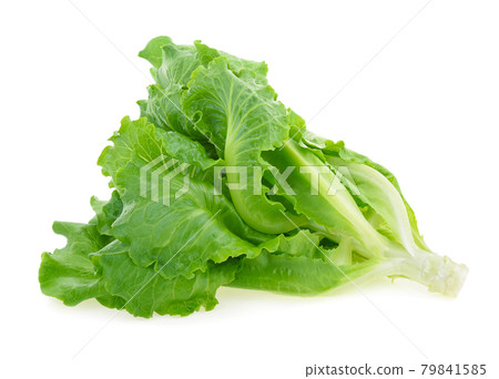 Butter head Lettuce isolated on white background Butter head Lettuce isolated on white background 79841585