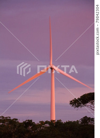 風力渦輪機在清晨的陽光下染紅 風力渦輪機在清晨的陽光下染紅 79842304