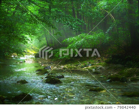 A river flowing through the green and a ray of light A river flowing through the green and a ray of light 79842440