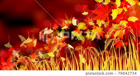 Autumn leaves rice rice background 79842734