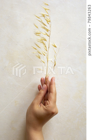 dried flowers on beige background, top view. 79843263
