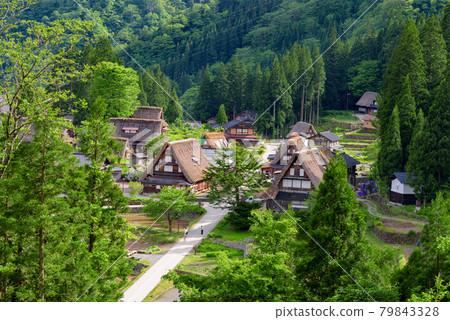 world heritage village Gokayama Village 79843328