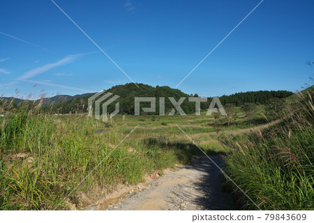 《兵庫縣》晴天,遠峰高原風光【9月】 《兵庫縣》晴天,遠峰高原風光【9月】 79843609
