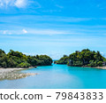 Emerald green sea 79843833