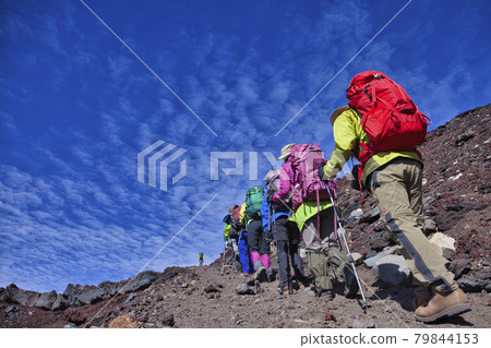 Mt. Fuji in summer Mt. Fuji in summer 79844153