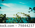 Blue sky and sea, plants 79844237
