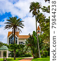 Chapel and palm trees 79844238