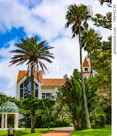 Chapel and palm trees Chapel and palm trees 79844238